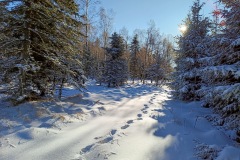 IMG_20240120_122659_627