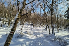 IMG_20240120_125741_827