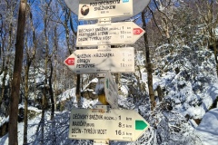 IMG_20240120_130245_623