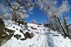 IMG_20240120_130843_291