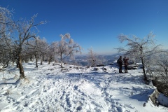 IMG_20240120_131052_634