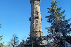 IMG_20240120_132421_984