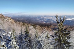 IMG_20240120_135542_961-PANO