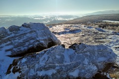 IMG_20240120_141450_068