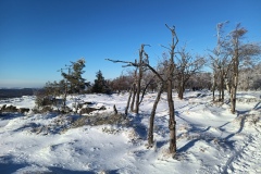 IMG_20240120_141708_594