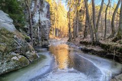 IMG_20240110_122019_398-scaled