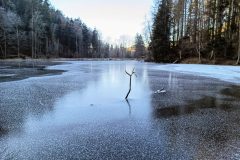 IMG_20240110_122714_520-scaled