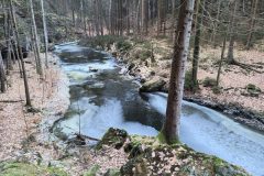 IMG_20240110_125817_799-scaled